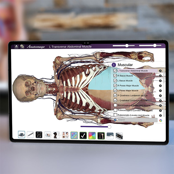 Anatomage Tablet Anatomy Learning
