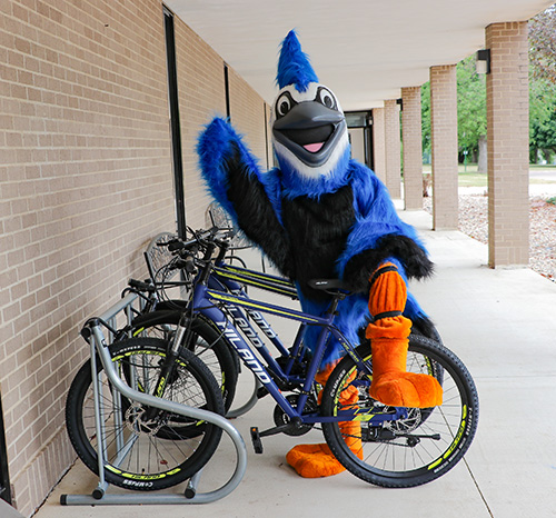 Bluejay Bicycles web