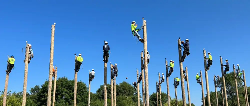 Powerline students climbing utility poles during training.