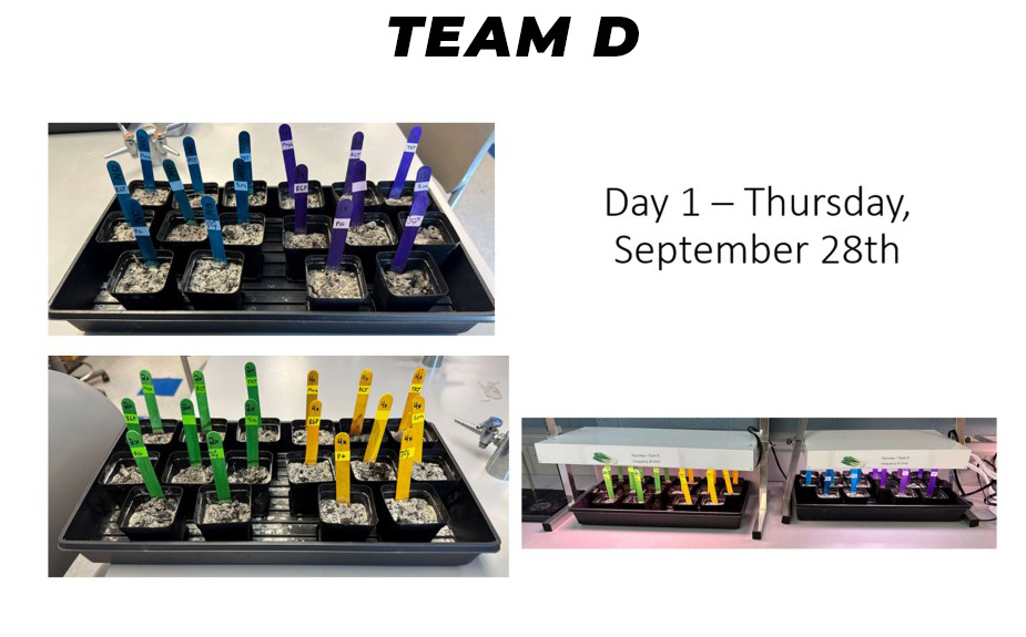 TeamD PTMC Fall 2023 Day 1 Sept28